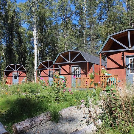 Dfa Cabin Rentals Talkeetna Exterior foto