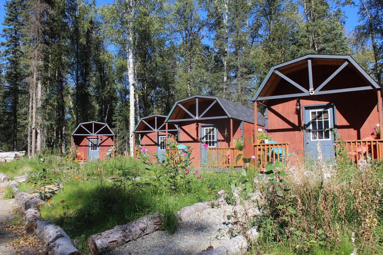 Dfa Cabin Rentals Talkeetna Exterior foto
